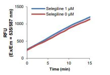 Functional Studies - Monoamine Oxidase B (MAO-B) Inhibitor Screening Kit (Fluorometric) (AB284511)
