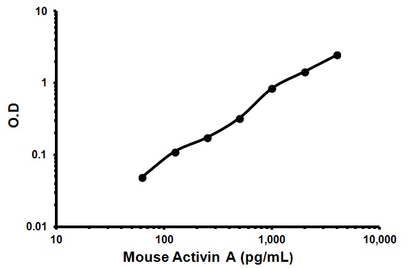 Sandwich ELISA - Mouse Activin A ELISA Kit (AB119569), expandable thumbnail