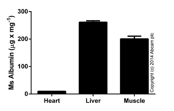 Competitive ELISA - Mouse Albumin ELISA Kit (AB108791)