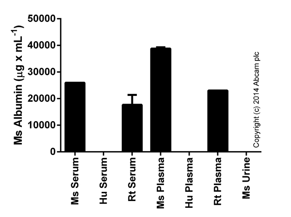 Competitive ELISA - Mouse Albumin ELISA Kit (AB108791), expandable thumbnail