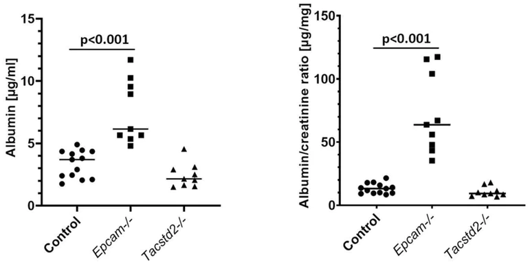Biochemical assay - Mouse Albumin ELISA Kit (AB108792)
