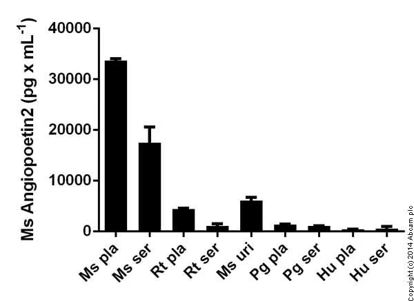 Sandwich ELISA - Mouse Angiopoietin 2 ELISA Kit (AB171335)