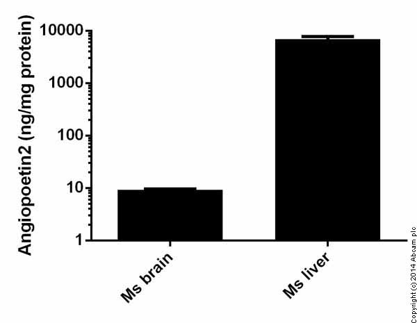Sandwich ELISA - Mouse Angiopoietin 2 ELISA Kit (AB171335)