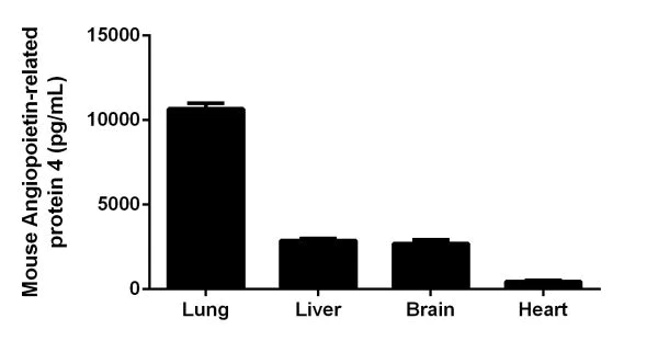 Sandwich ELISA - Mouse Angiopoietin-like 4 ELISA Kit (AB210577)