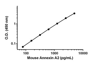 Mouse Annexin A2 ELISA Kit