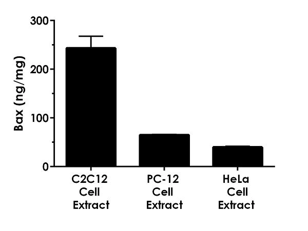 Sandwich ELISA - Mouse Bax ELISA Kit (AB233624)