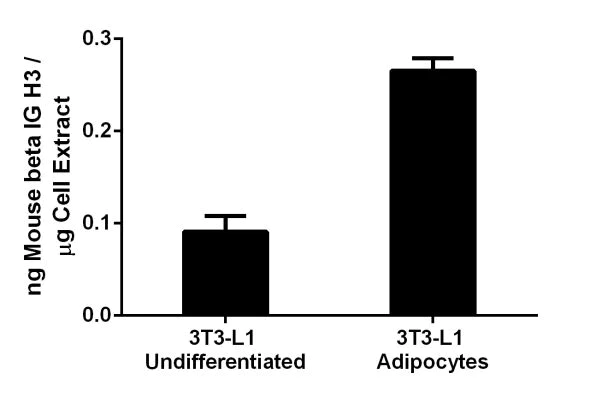 Sandwich ELISA - Mouse beta IG H3 ELISA Kit (AB206987)