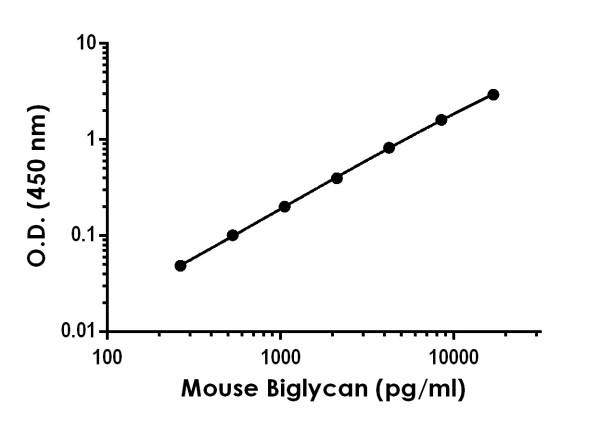 Sandwich ELISA - Mouse Biglycan ELISA Kit (AB275906), expandable thumbnail