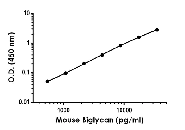 Sandwich ELISA - Mouse Biglycan ELISA Kit (AB275906)