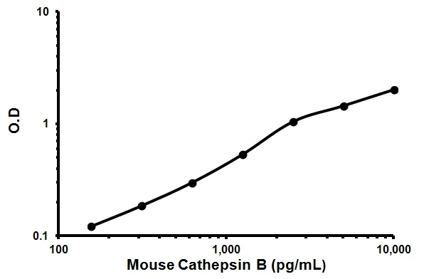 Sandwich ELISA - Mouse Cathepsin B ELISA Kit (AB119585)