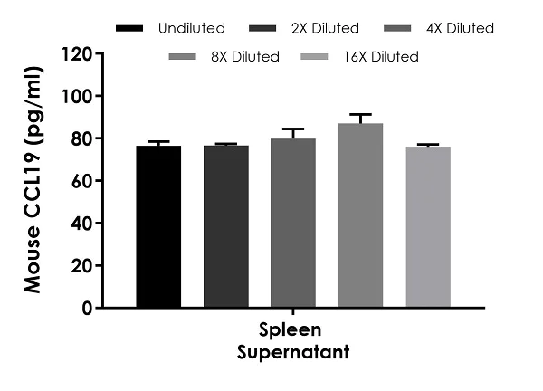 Sandwich ELISA - Mouse CCL19 ELISA Kit (AB242236)