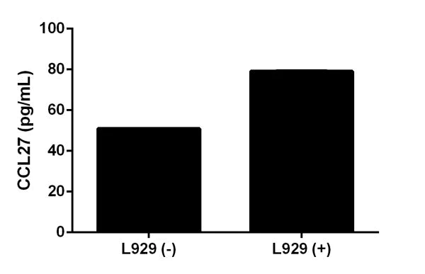 Sandwich ELISA - Mouse CCL27 ELISA Kit (CTACK) (AB202406)