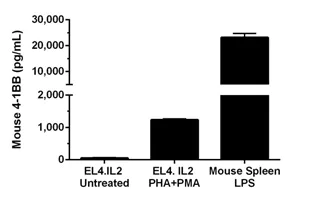 Sandwich ELISA - Mouse CD137 ELISA Kit (AB205577)