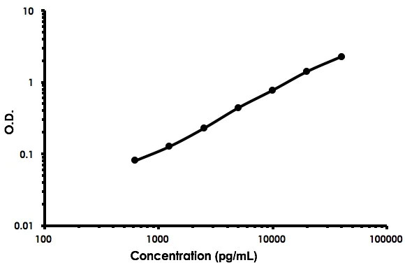 Sandwich ELISA - Mouse CD56 ELISA Kit (NCAM1) (AB213851)
