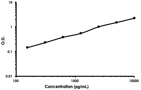 Sandwich ELISA - Mouse CD5L / CT-2 ELISA Kit (AB213852)