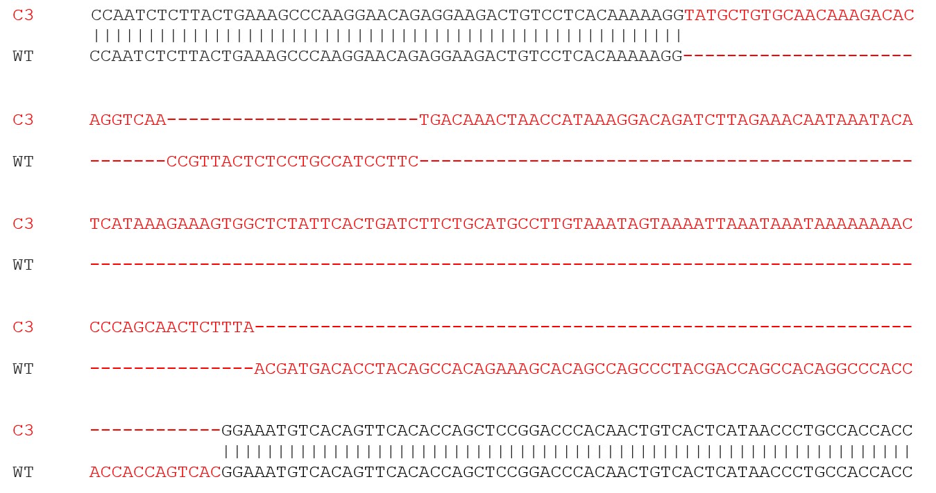 Sanger Sequencing - Mouse CD68 knockout RAW 264.7 cell line (AB280047), expandable thumbnail