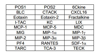 Multiplex Protein Detection - Mouse Chemokine Antibody Array (25 Targets) - Quantitative (AB197464), expandable thumbnail