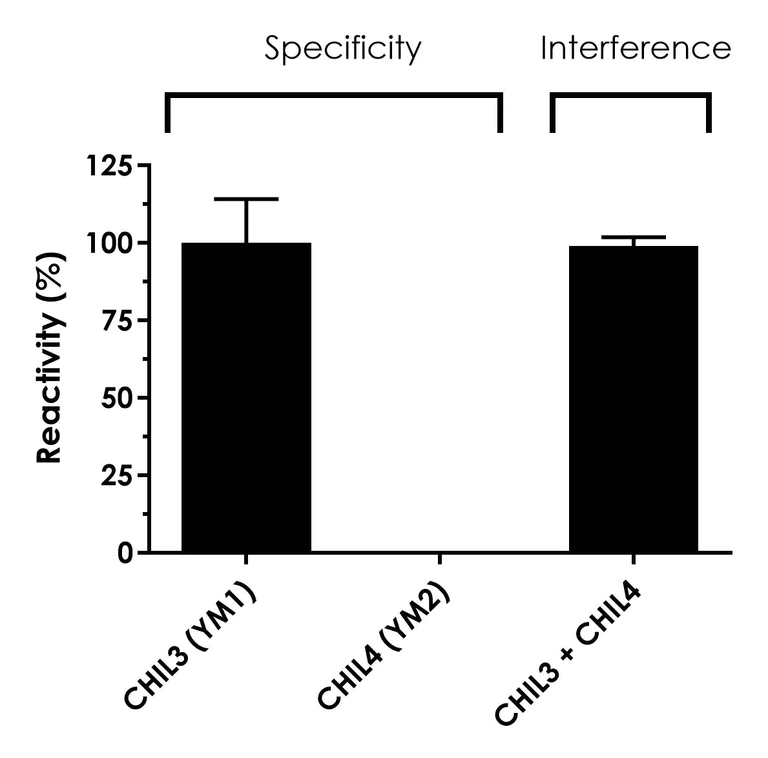Sandwich ELISA - Mouse Chitinase 3 like protein 3 (YM1) ELISA Kit (AB325562)