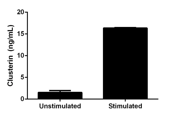Sandwich ELISA - Mouse Clusterin ELISA Kit (Apolipoprotein J) (AB199079)