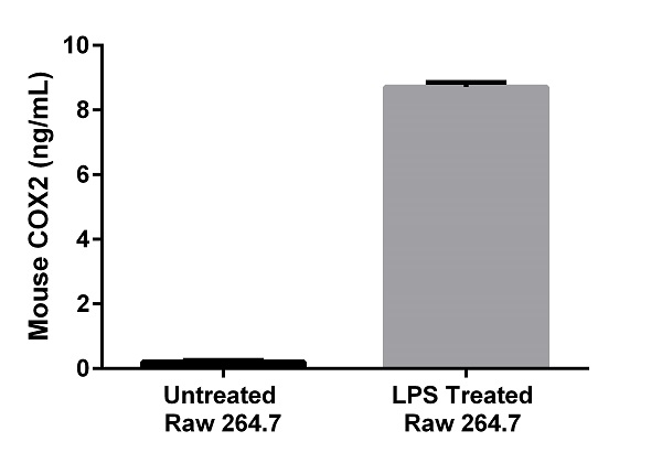 Sandwich ELISA - Mouse COX2 ELISA Kit (AB210574)