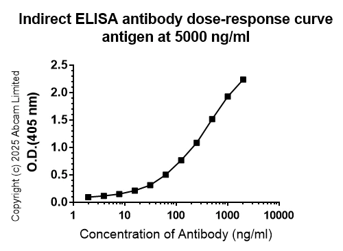 Indirect ELISA - Anti-Mouse Crimean-Congo hemorrhagic fever virus Nucleoprotein antibody [A4] - BSA and Azide free (AB324847)