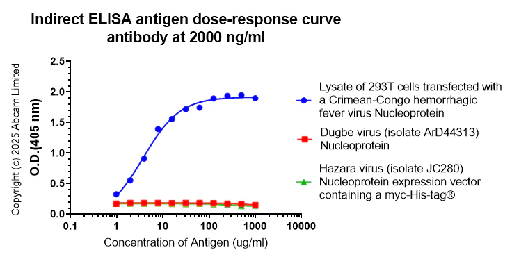 Indirect ELISA - Anti-Mouse Crimean-Congo hemorrhagic fever virus Nucleoprotein antibody [A4] - BSA and Azide free (AB324847)