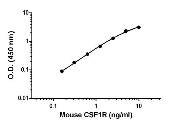 Sandwich ELISA - Mouse CSF-1-R ELISA Kit (AB240681), expandable thumbnail