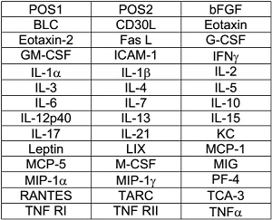 Multiplex Protein Detection - Mouse Cytokine Antibody Array B (40 Targets) - Quantitative (AB197469)