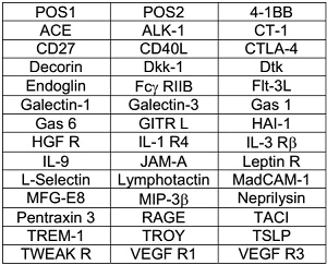 Multiplex Protein Detection - Mouse Cytokine Antibody Array C (40 Targets) - Quantitative (AB197470)