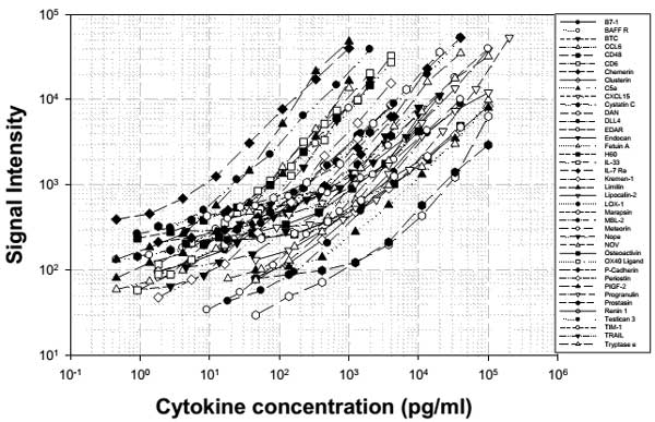 Multiplex Protein Detection - Mouse Cytokine Antibody Array D (40 Targets) - Quantitative (AB197471)