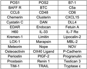 Multiplex Protein Detection - Mouse Cytokine Antibody Array D (40 Targets) - Quantitative (AB197471)