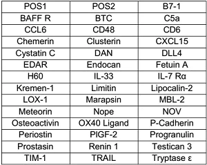 Multiplex Protein Detection - Mouse Cytokine Antibody Array D (40 Targets) - Quantitative (AB197471)