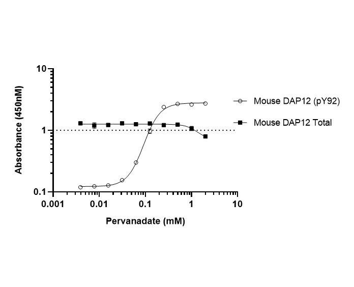 Sandwich ELISA - Mouse DAP12 (pY92) + DAP12 Total ELISA Kit (AB316135)
