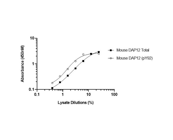 Sandwich ELISA - Mouse DAP12 (pY92) + DAP12 Total ELISA Kit (AB316135)