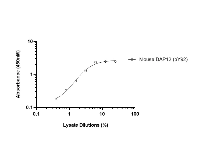 Sandwich ELISA - Mouse DAP12 (pY92) ELISA Kit (AB316131)