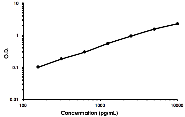 Mouse DMP-1 ELISA Kit (ab213861) | Abcam