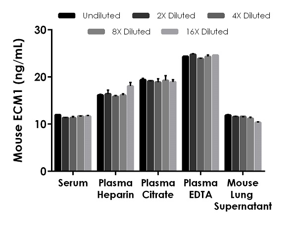 Sandwich ELISA - Mouse ECM1 ELISA Kit (AB252368), expandable thumbnail