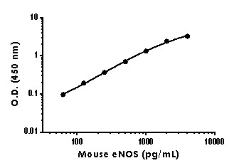 Sandwich ELISA - Mouse eNOS ELISA Kit (AB230938)