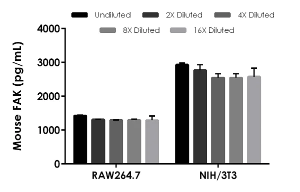 Sandwich ELISA - Mouse FAK ELISA Kit (AB242243)