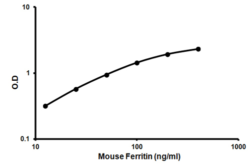 Sandwich ELISA - Mouse Ferritin ELISA Kit (FTL) (AB157713), expandable thumbnail