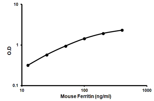 Sandwich ELISA - Mouse Ferritin ELISA Kit (FTL) (AB157713)