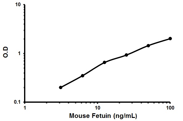 Sandwich ELISA - Mouse Fetuin A ELISA Kit (AB205074)