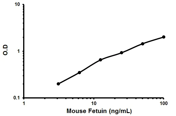 Sandwich ELISA - Mouse Fetuin A ELISA Kit (AB205074)