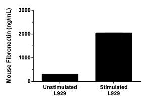 Sandwich ELISA - Mouse Fibronectin ELISA Kit (AB210967)