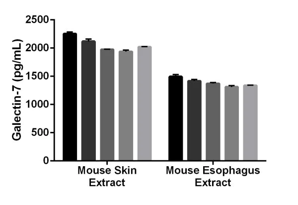 Sandwich ELISA - Mouse Galectin-7 ELISA Kit (AB206988)