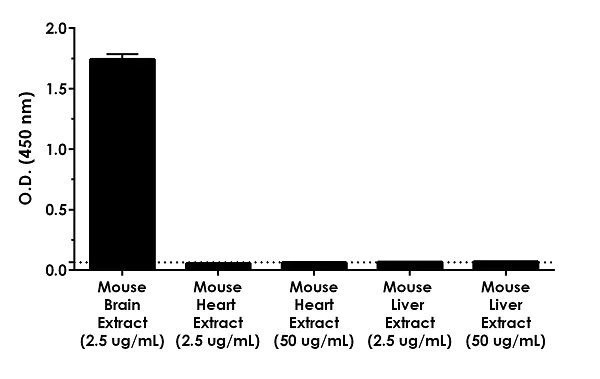 Sandwich ELISA - Mouse GFAP ELISA Kit (AB233621)