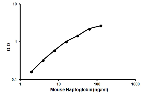 Sandwich ELISA - Mouse Haptoglobin ELISA Kit (AB157714)