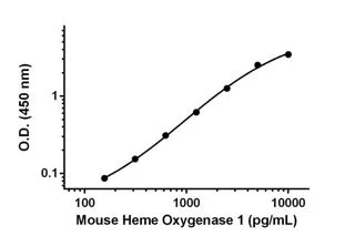 Sandwich ELISA - Mouse Heme Oxygenase 1 ELISA Kit (AB204524)