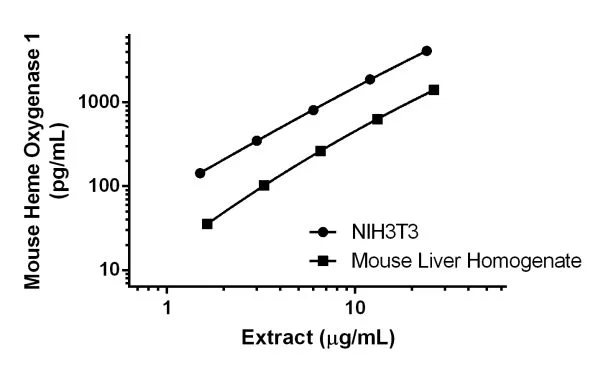 Sandwich ELISA - Mouse Heme Oxygenase 1 ELISA Kit, Chemiluminescent (AB327326)