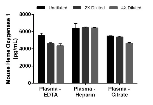Sandwich ELISA - Mouse Heme Oxygenase 1 ELISA Kit, Chemiluminescent (AB327326)
